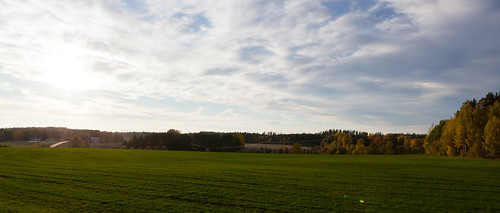 field countryside canonef2470mmf28lusm autumnleaf canoneos5dmarkii autumnleafcolor
