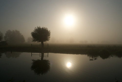 morning sun sunlight mist reflection tree water silhouette fog river dedham