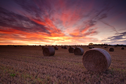field sunrise dawn straw haybales clippesby