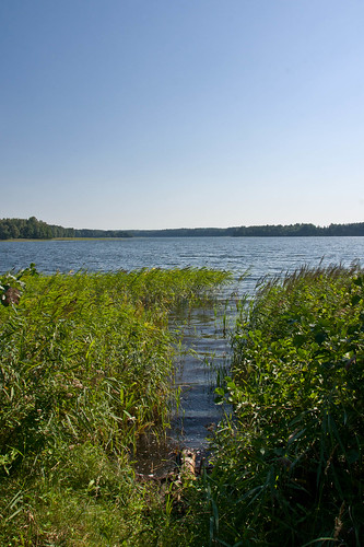 summer nature sony lithuania vasara lietuva gamta sal16105 labanororegioninisparkas vietovės labanorasregionalpark juodiejilakajai ščiurioiškyšulys