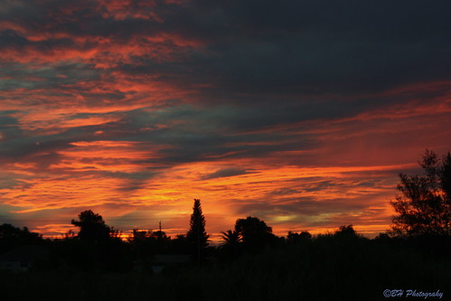 sunset sky orange sun clouds fire golden florida sunsets majestic treeline ftmyers capecoral fortmyers southwestflorida