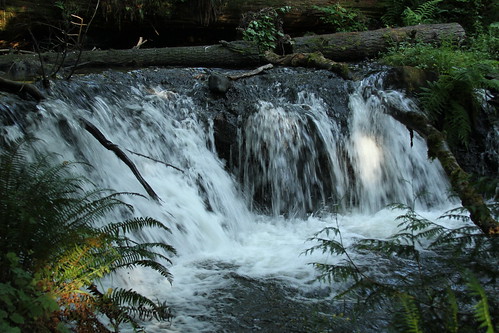 county lake creek waterfall washington stream pacific northwest falls victor pierce fennel bonney earthnaturelife