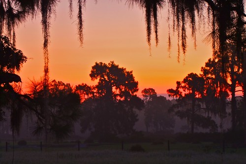 blue sunset red orange sunrise purple florida country pines centralflorida avonpark