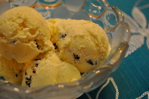 vanilla-bean-ice-cream-with-chocolate-chips