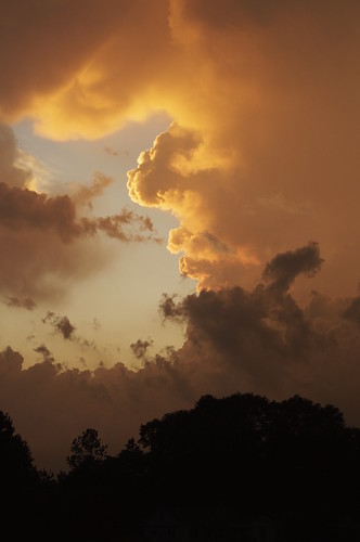 blue trees sunset sky orange yellow clouds 50mm day pentax cloudy dusk f14 sears kx straightoutofthecamera sooc