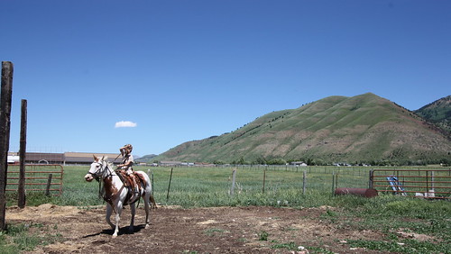 ranch summer horse wyoming farmlife starvalley