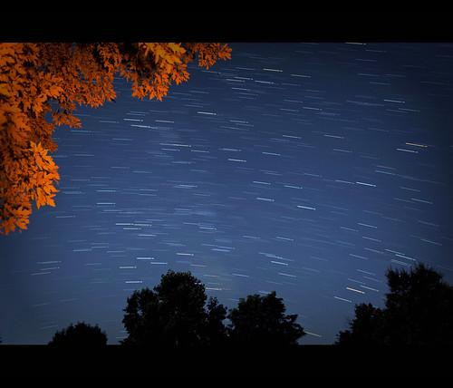 statepark longexposure blue sky orange tree night star nikon trails potatocreek imagestacking d5000 sarahdouthitt