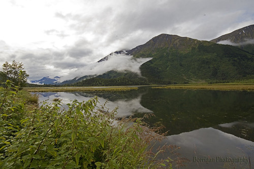 travel summer lake reflection nature alaska canon outdoors wildlife scenic peninsula tern kenai
