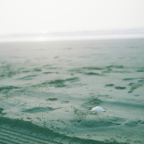 120 6x6 tlr film beach japan rollei iv xenar rolleicord 75mm 九十九里 pro160ns