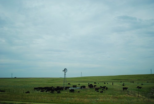 ranch usa windmill rural nebraska cattle farming roadtrip agriculture