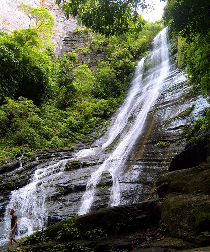 naturaleza camino venezuela bosque florian tesoro sendero vegetación cañón cascada monagas exuberancia caripe anglesanglesangles saltolapaila parquenacionalelguácharo
