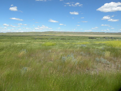 grasslandsnationalpark grasslands national park parks saskatchewan prairie grass
