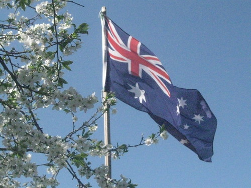 Our backyard Australian flag.