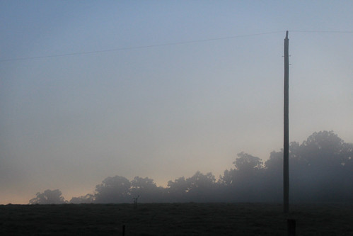 morning blue red sun mist tree fog sunrise earlymorning australia victoria rise telegraphpole telegraph