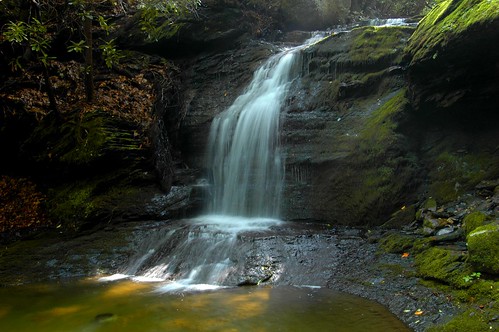 trees water pool creek waterfall moss nikon rocks stream d70s pa delawarewatergap slateford explored ncmountainman phixe