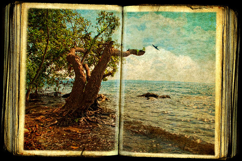lake texture canon lago textures texturas lagodibracciano memoriesbook canon7d canonianiromani thelightpainterssociety luigimancini magicunicornmasterpiece