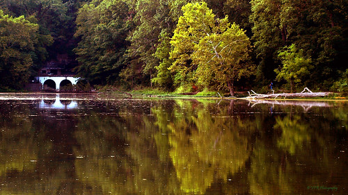 lake reflections landscape landscapes tn hiking tennessee lakes scenic southern reflective hiker swanlake southeast clarksville lateafternoon latesummer southeastern montgomerycounty dunbarcave dunbarcavestatepark dunbarcavestatenaturalarea