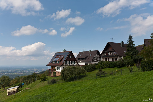 house tree grass clouds weide view shed meadow wolken dal boom valley gras uitzicht huis schwarzwald blackforest firewood duitsland badenwürttemberg timberedhouse brandhout zwartewoud afdak sasbachwalden vakwerkhuis bracom bramvanbroekhoven