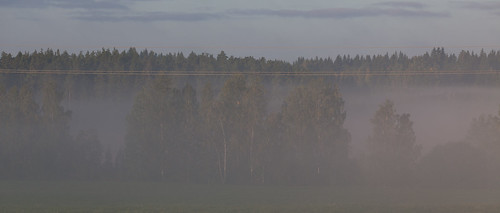 morning field fog sunrise countryside haze canoneos5dmarkii canonef70200mmf28lisiiusm