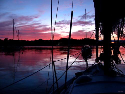 morning boat sailing russel boi
