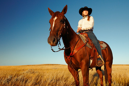 ranch blue red portrait sky horse woman sunlight west college girl beautiful field grass leather horizontal rural standing outdoors one countryside cowboy montana mare mt power looking empty country large posing lifestyle away wideangle bluesky clear riding havre western denim leader strength tall recreation copyspace cowgirl plains sideview cowboyhat rider equestrian wildwest horseback stallion saddle americanwest tack lookingaway ranching quarterhorse stockphoto cowboyboots sorrel greatplains stockphotography travelphotography stirrups hillcounty colorimage beautyinnature cowgril ridingahorse wideangleview toddklassy msunorthernrodeoteam