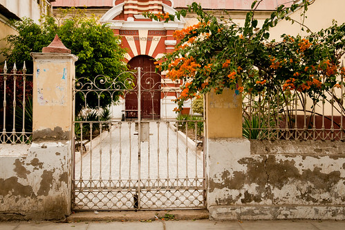 flowers orange building peru church wall architecture digital fence bush ornate peelingpaint bushes d300 ferreñafe