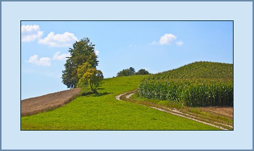 bavaria inn rott natur lower landschaft niederbayern inntal aufwärts rottal updatecollection