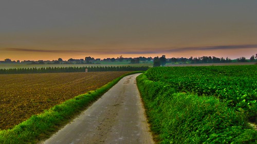 road sunrise dawn belgium hiking trails trail fields hoegaarden