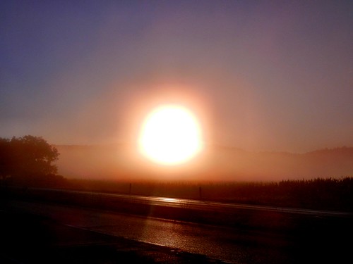 road morning sun mist fog sunrise nikon down s coolpix 9100 s9100