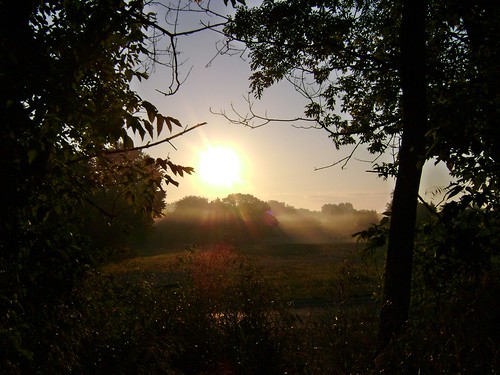 morning light sun sunlight mist field grass fog oakland woods path michigan orion 248 sonydsc650