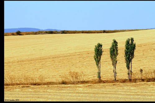 guadalajara paisaje campos castilla secano lambán