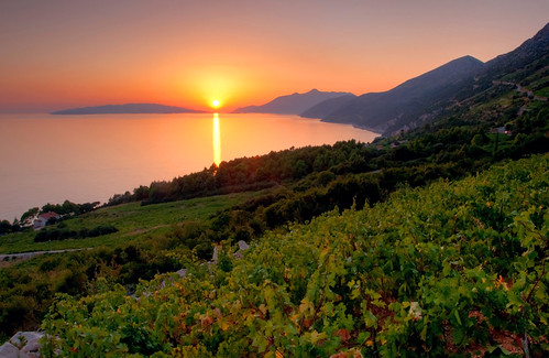 sunset canon vineyard croatia hdr hrvatska peljesac 1740l chorvatsko 400d dingac