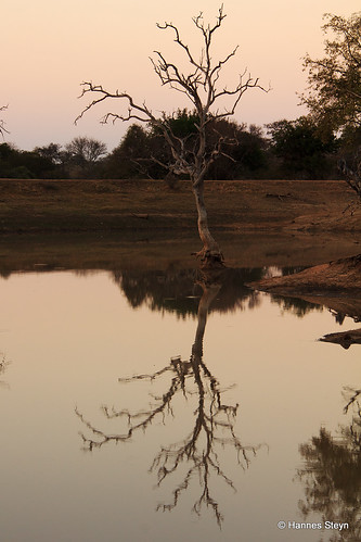 africa trees nature water canon southafrica dam lodge reserves limpopo 550d hannessteyn canonefs18200mmf3556is phelwanagamelodge canon550d phelwana eosrebelt2i