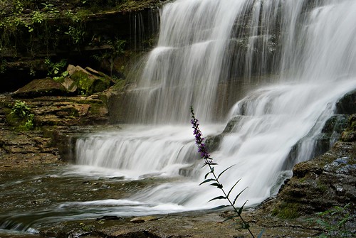 waterfall wny gainsville rockglen oatkacreek southwarsaw