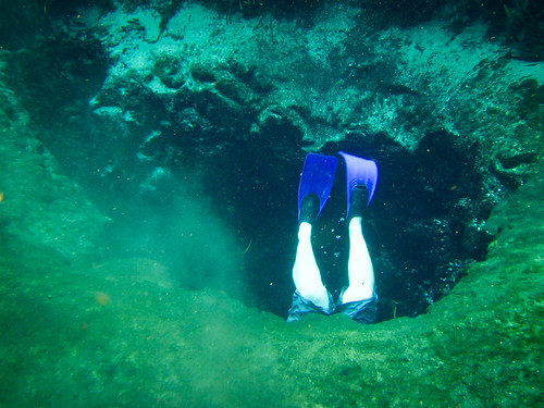 blue me water spring underwater hole diving springs fins