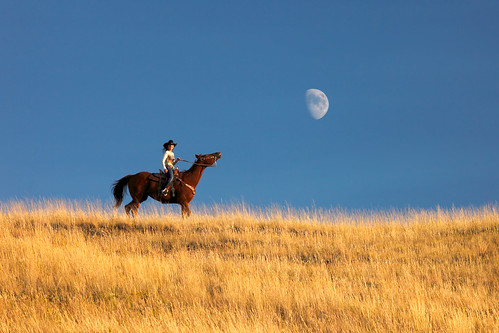 above ranch travel blue autumn sky horse woman brown moon motion west fall nature girl beautiful grass yellow rural america dark landscape outdoors one countryside high cowboy montana afternoon mt unitedstates control action head country hill surreal lifestyle dry bluesky lookingup clear ridge riding havre half western rodeo copyspace cowgirl sideview cowboyhat lunar horseback arid hilltop ranching stockphoto grassy neigh sorrel greatplains rearing stockphotography travelphotography guestranch reigns hillcounty colorimage beautyinnature westernunitedstates horizonoverland pullingback russellcountry toddklassy