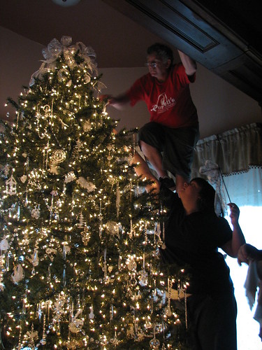 decorating the "glass tree"