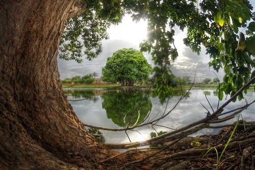 sun lake tree green leaves landscape pond afternoon fisheye 8mm hdr kendale rokinon kandall
