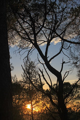 Camping sunset - Photo of Moulézan