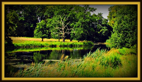 trees colours tranquility lincolnshire textures nationaltrust tranquil beltonhouse timewellspent riverwitham beltonpark towthorpeponds westtowthorpepond
