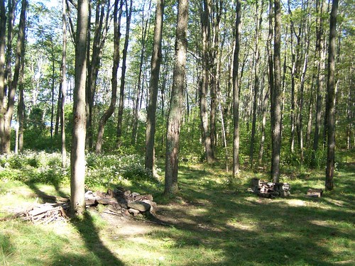 forest pond state mallet campsite rossman andyarthur