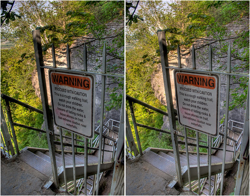 plants ny stereoscopic stereophotography 3d crosseye upstate upstateny handheld chacha hdr 3dimensional crossview crosseyedstereo 3dphotography indianladdertrail