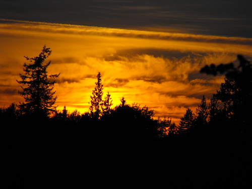 trees sunset red summer orange yellow clouds evening scenery bc britishcolumbia fraservalley lowermainland