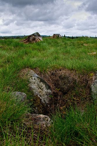geocaching stones socken arvid stenar galgbackenihamneda hinneryds öshult gc2t3xz