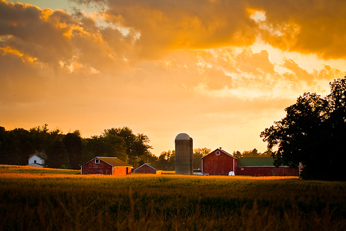 trees light sunset shadow summer usa nature field wisconsin barn rural landscape photography evening countryside photo corn cornfield midwest image dusk farm country picture august silo northamerica crops agriculture porter edgerton evansville 2011 canoneos5d canonef100mmf28macrousm rockcounty stebbinsville lorenzemlicka
