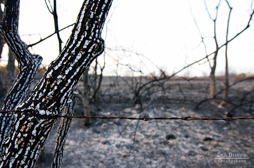 sunrise fire texas drought fires wildfire 9530 georgebushpark barkerreservoirwetlandsrestorationproject 2011texasdrought