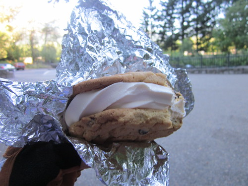 Multnomah Falls ice cream sandwich