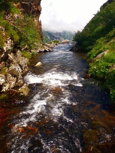 mountain austria stream thomas austrian