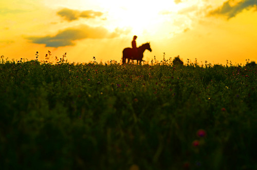 sunset horse field 50mm f14 nikkor rider