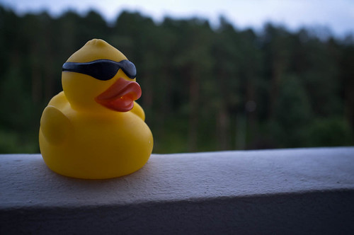 portrait black macro bird sunglasses yellow suomi finland toy duck bath soft dof turku elvis rubber attitude fujifilmx100
